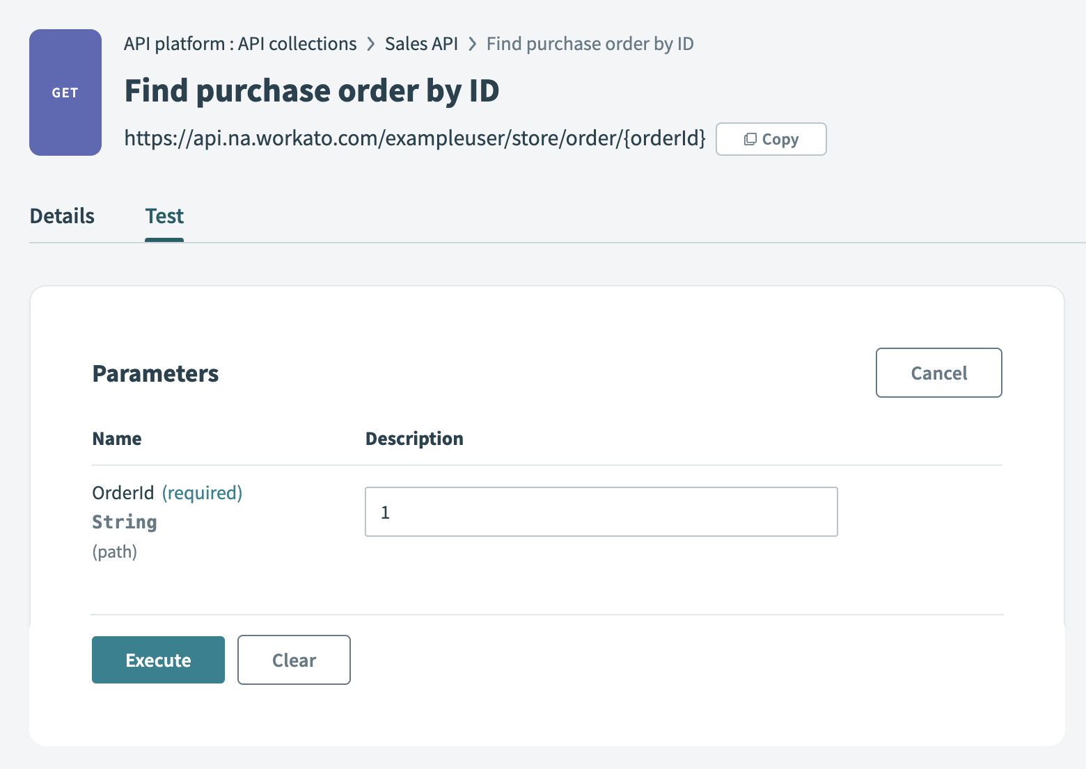 Entering a path parameter for a proxy endpoint