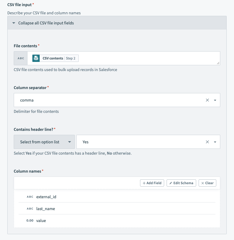 Salesforce bulk action - configured CSV file input section