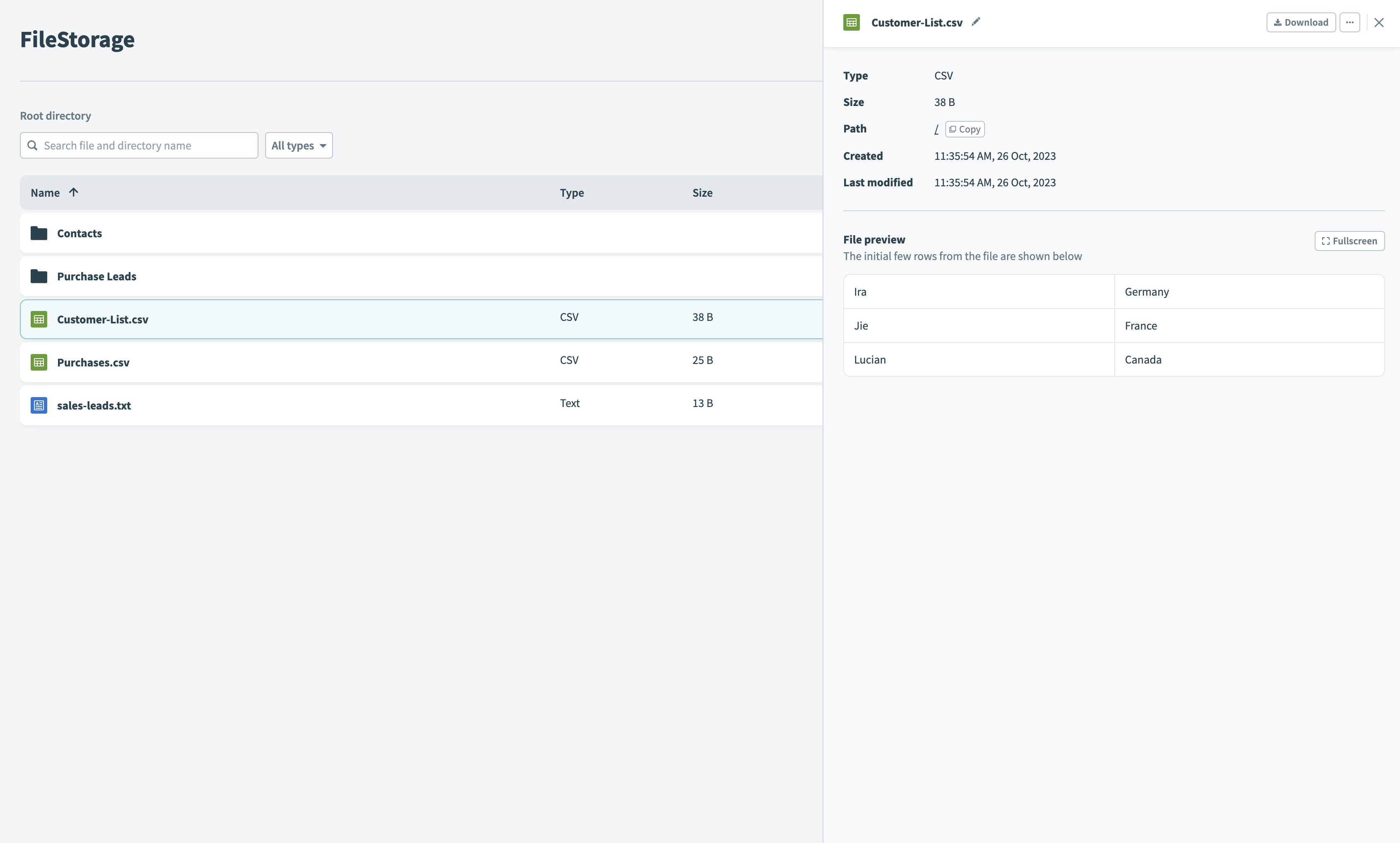 Previewing a file in the FileStorage UI